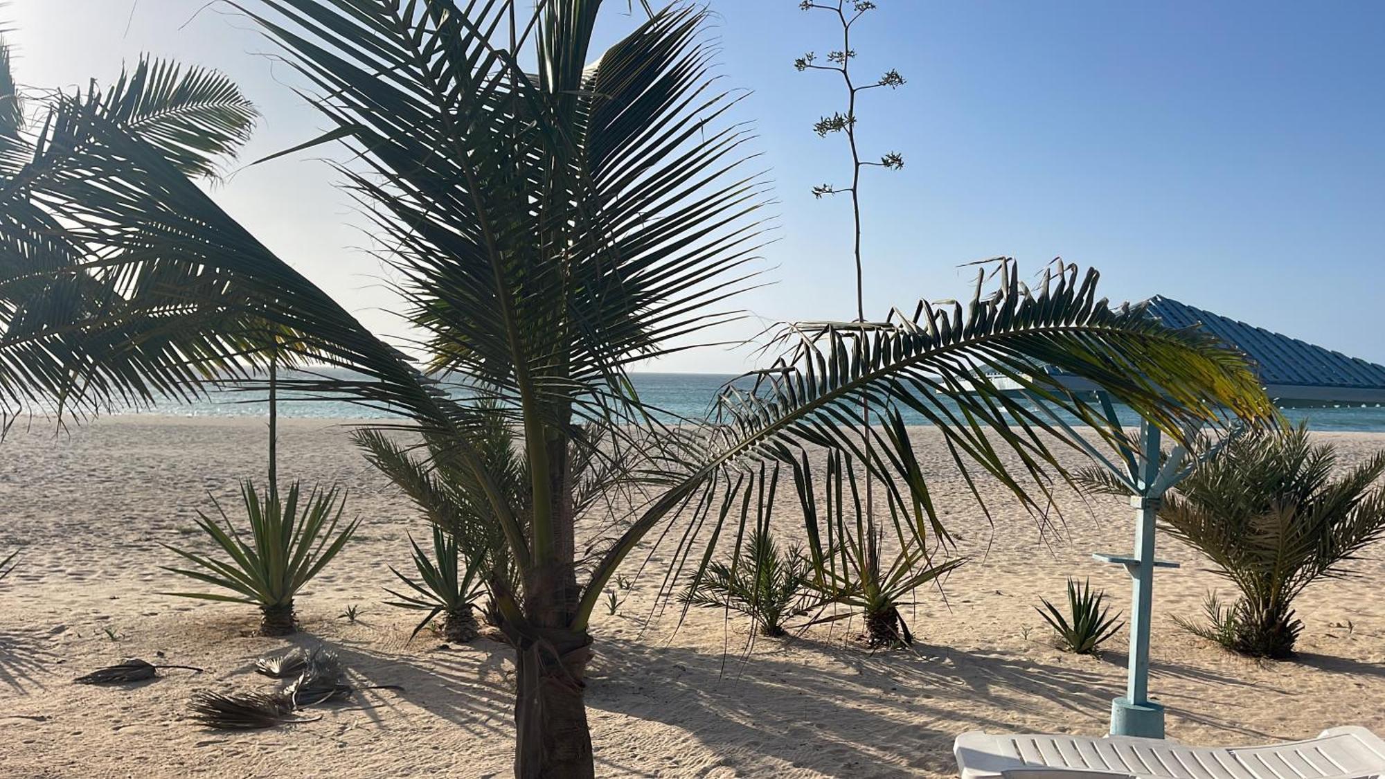 Luxury Beach Villa, Praia De Chaves, Boa Vista サル・レイ エクステリア 写真