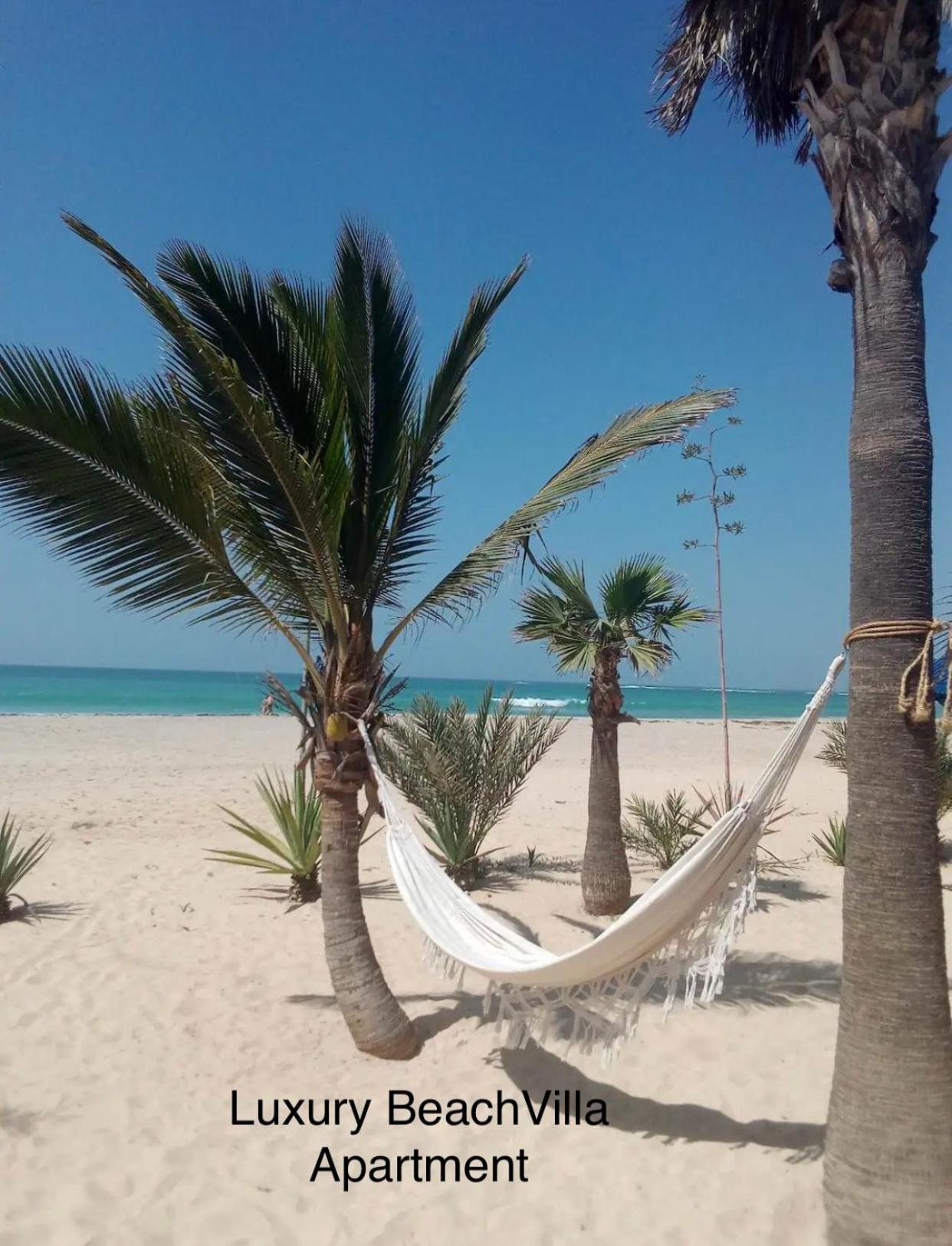 Luxury Beach Villa, Praia De Chaves, Boa Vista サル・レイ エクステリア 写真